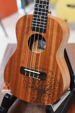 YAEL 23 tree Concert size ukulele price in BD