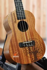 YAEL 23 tree Concert size ukulele price in BD