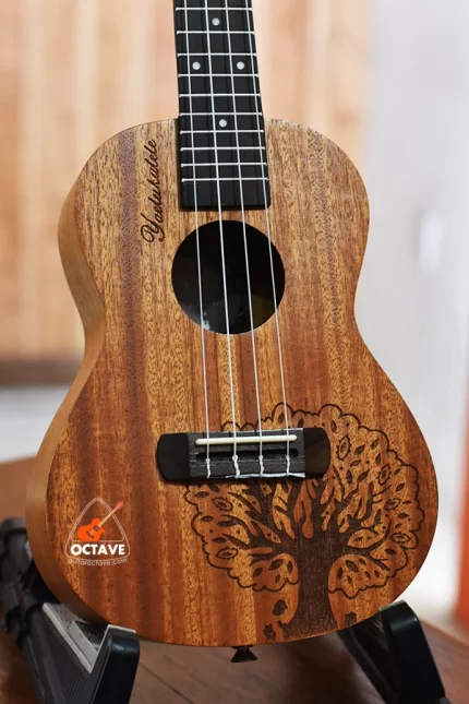 YAEL 23 tree Concert size ukulele price in BD