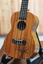 YAEL 23 tree Concert size ukulele price in BD