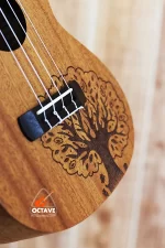 YAEL 23 tree Concert size ukulele price in BD