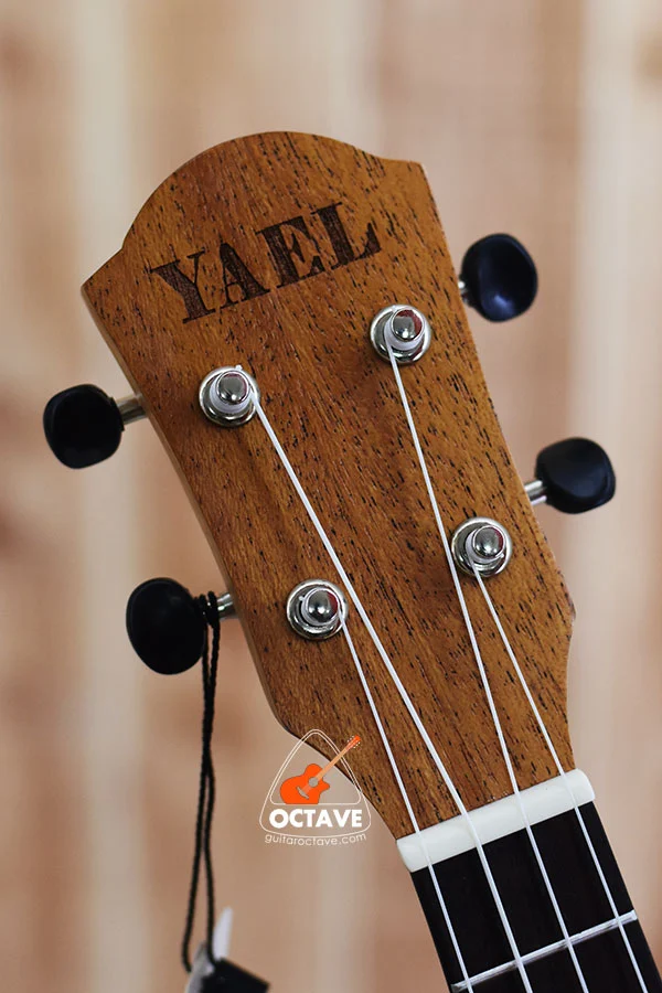 YAEL 23 tree Concert size ukulele price in BD