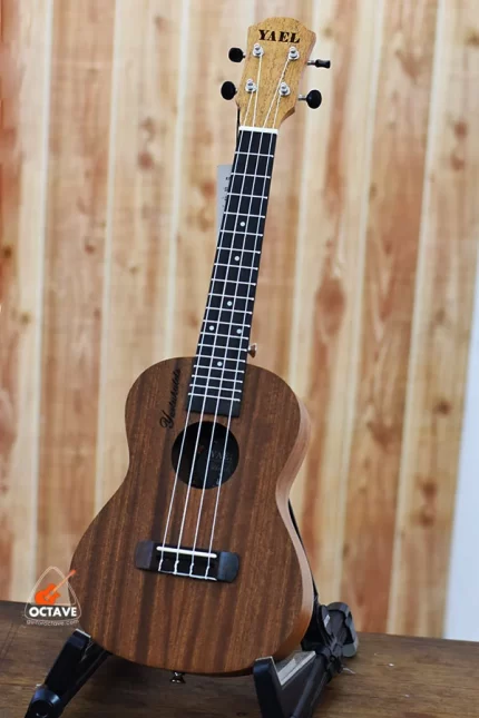 YAEL 24 Natural Concert size ukulele Price in BD
