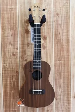 YAEL 24 Natural Concert size ukulele Price in BD