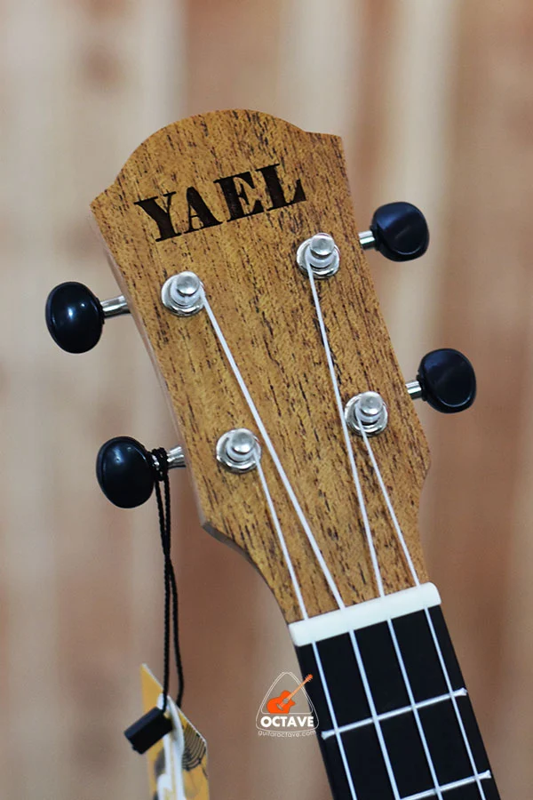 YAEL 24 Natural Concert size ukulele Price in BD