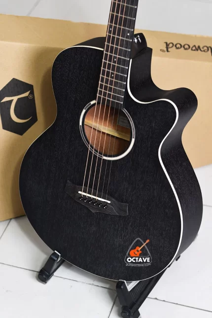 Tanglewood Black Bird TWBB SFCE electro acoustic-guitar price In BD