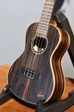 Kala brand 23 Inch concert Size ukulelePrice in BD