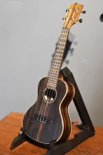 Kala brand 23 Inch concert Size ukulelePrice in BD