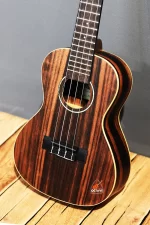 Kala brand 23 Inch concert Size ukulelePrice in BD