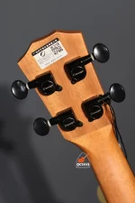 Omugo 26 wallnut tenor ukulele Price in bd