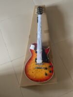 Sqoe Lp500 Hight end Les paul guitar Price in BD