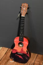 Guson 24 inch Concert size Colorful pattern ukulele Price in BD