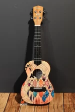 Guson 24 inch Concert size Colorful pattern ukulele Price in BD