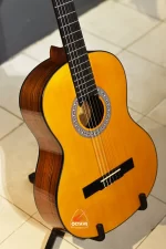 Chard EC3950 Premium full size Nylon String Classical Guitar price in BD