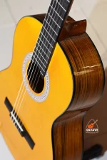 Chard EC3950 Premium full size Nylon String Classical Guitar price in BD