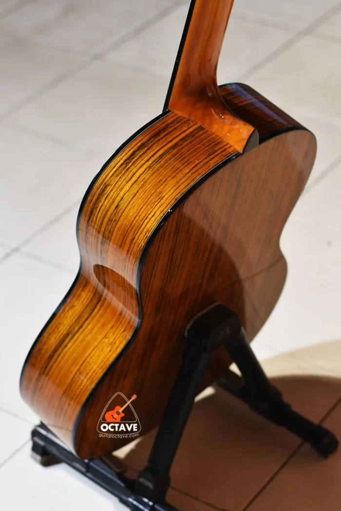 Chard EC3950 Premium full size Nylon String Classical Guitar price in BD