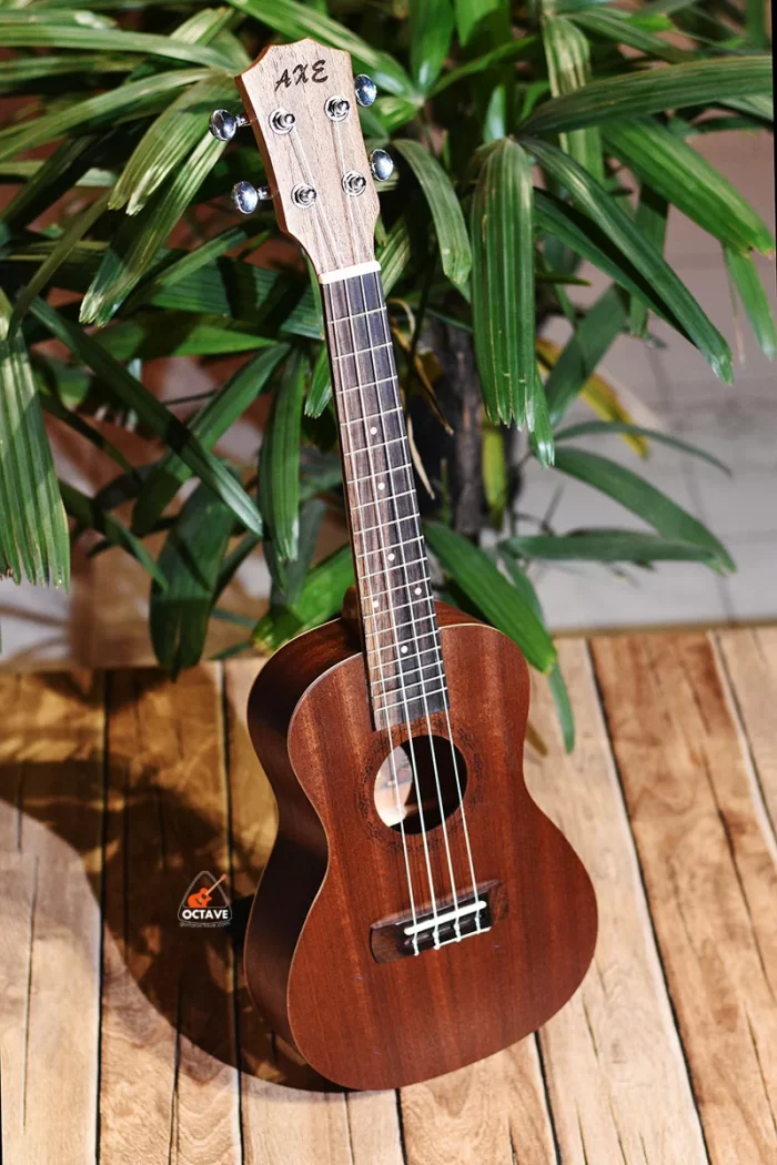 AXE 24'' Concert Size Mahogany Ukulele | Best Ukulele Shop BD