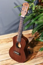 Cheap 24 inch Concert size AXE ukulele in BD | Ukulele Center BD | AXE Ukulele Shop BD