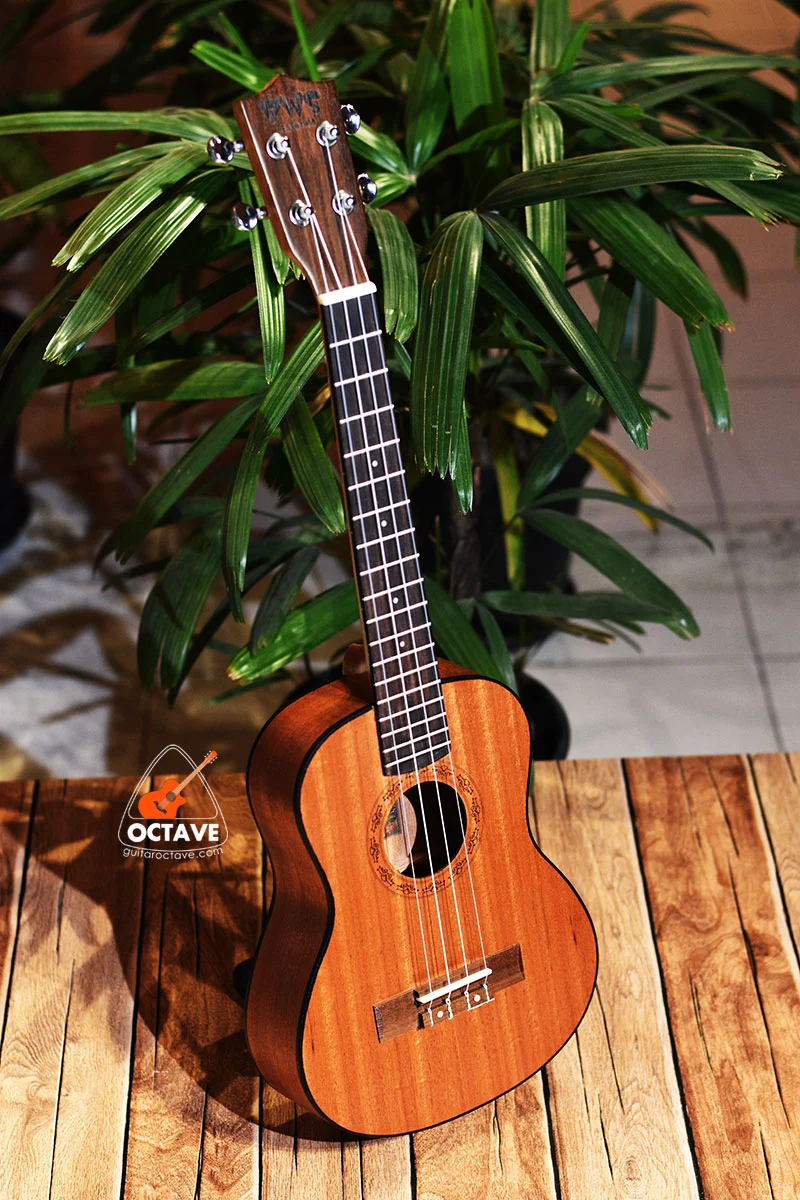 Buy Low budget BWS 26 Tenor size ukulele in BD | Ukulele Center BD | Tenor Size Ukulele Price in Bd