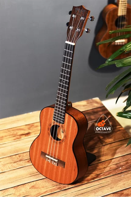 Buy Low budget BWS 26 Tenor size ukulele in BD | Ukulele Center BD | Tenor Size Ukulele Price in Bd
