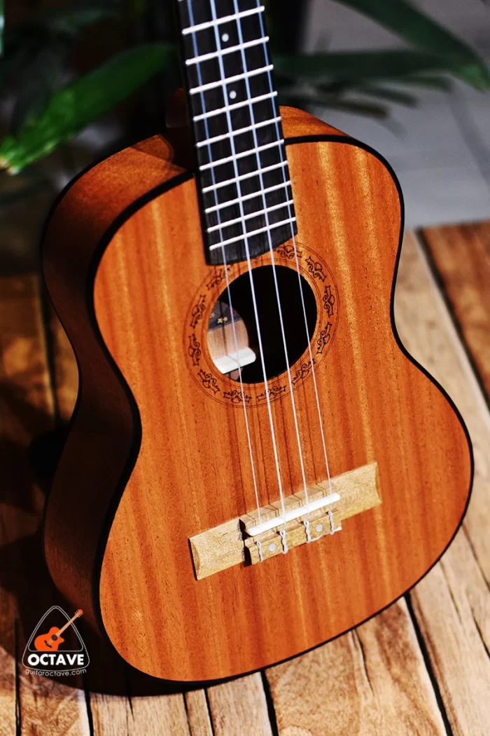 Buy Low budget BWS 26 Tenor size ukulele in BD | Ukulele Center BD | Tenor Size Ukulele Price in Bd
