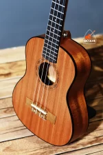 Buy Low budget BWS 26 Tenor size ukulele in BD | Ukulele Center BD | Tenor Size Ukulele Price in Bd