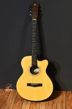 Chard F-4090C Acoustic guitar Price in BD | Best Guitar Shop BD