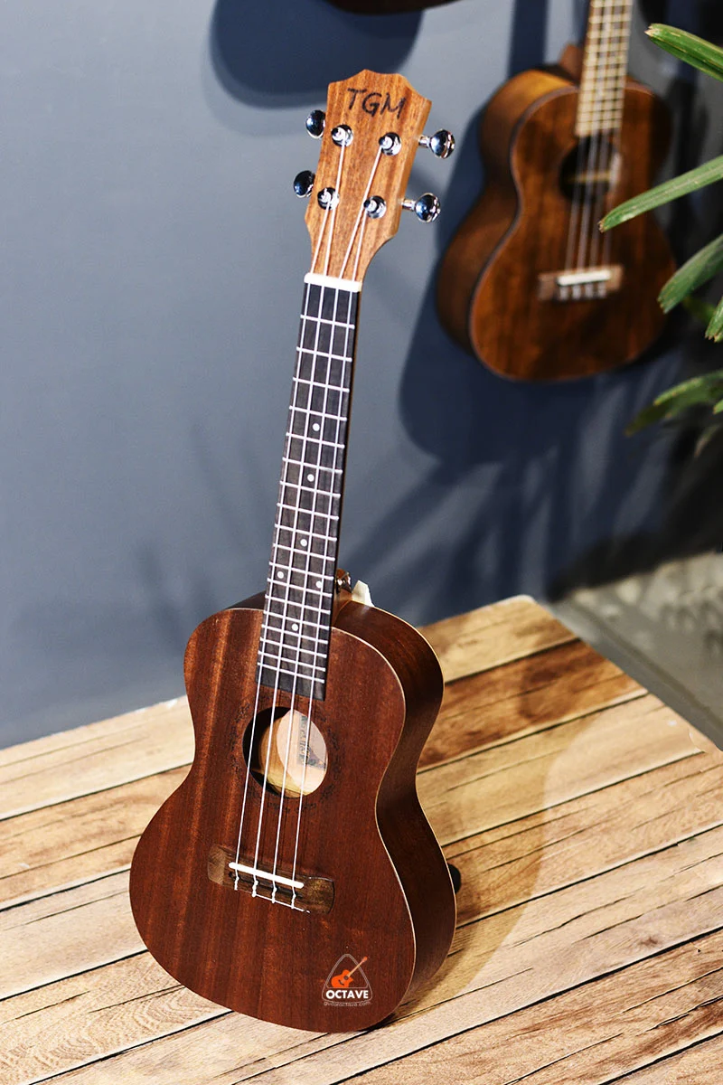 Cheap 24 inch Concert size TGM ukulele in BD | Ukulele Center BD | TGM Ukulele Shop BD