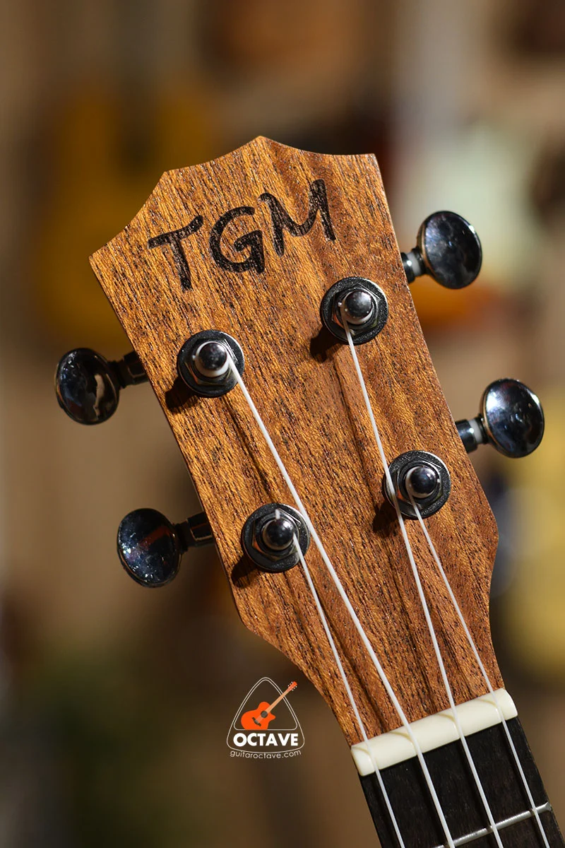 Cheap 24 inch Concert size TGM ukulele in BD | Ukulele Center BD | TGM Ukulele Shop BD