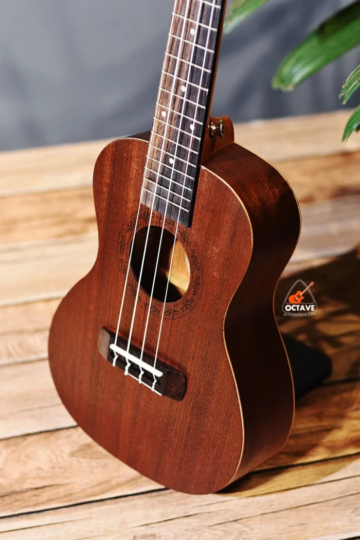 Cheap 24 inch Concert size TGM ukulele in BD | Ukulele Center BD | TGM Ukulele Shop BD