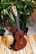 Cheap 24 inch Concert size Yamaha ukulele in BD | Ukulele Center BD | Yamaha Ukulele Shop BD