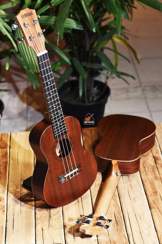 Cheap 24 inch Concert size Yamaha ukulele in BD | Ukulele Center BD | Yamaha Ukulele Shop BD