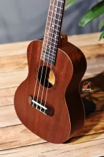 Cheap 24 inch Concert size Yamaha ukulele in BD | Ukulele Center BD | Yamaha Ukulele Shop BD