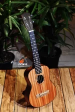Cheap 26 Tenor size Yamaha ukulele in BD | Ukulele Center BD | Yamaha Ukulele Shop BD