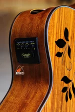 Sqoe Sq-I with Built-in Equalizer Premium Electro-acoustic guitar Price in BD | Sqoe Guitar Shop BD