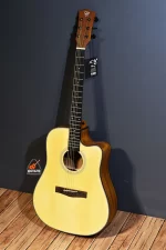 Chard F4150C Premium Dreadnought Electro Acoustic Guitar with Built-in Equalizer Price in BD | Chard Guitar Shop BD | Chard Guitar Price in BD