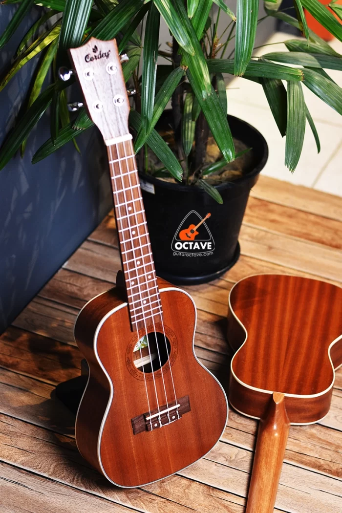 Cordey® CR-24MT Meloton Concert Ukulele Price In bd