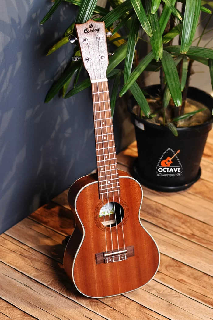 Cordey® CR-24MT Meloton Concert Ukulele Price In bd