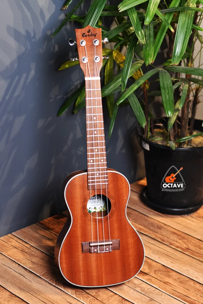 Cordey® CR-24MT Meloton Concert Ukulele Price In bd