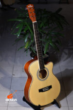 Cordey CR-NP40-N Newporter Player Series Natural color beginners acoustic guitar price in bd