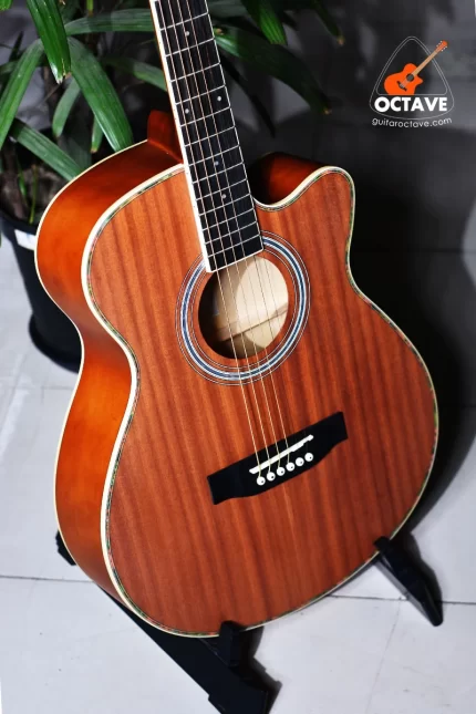 Cordey CR-NP40-SBL Newporter Player Series wooden color beginners acoustic guitar price in bd