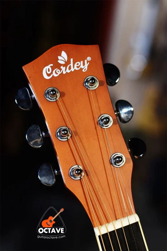Cordey CR-NP40-N Newporter Player Series Natural color beginners acoustic guitar price in bd
