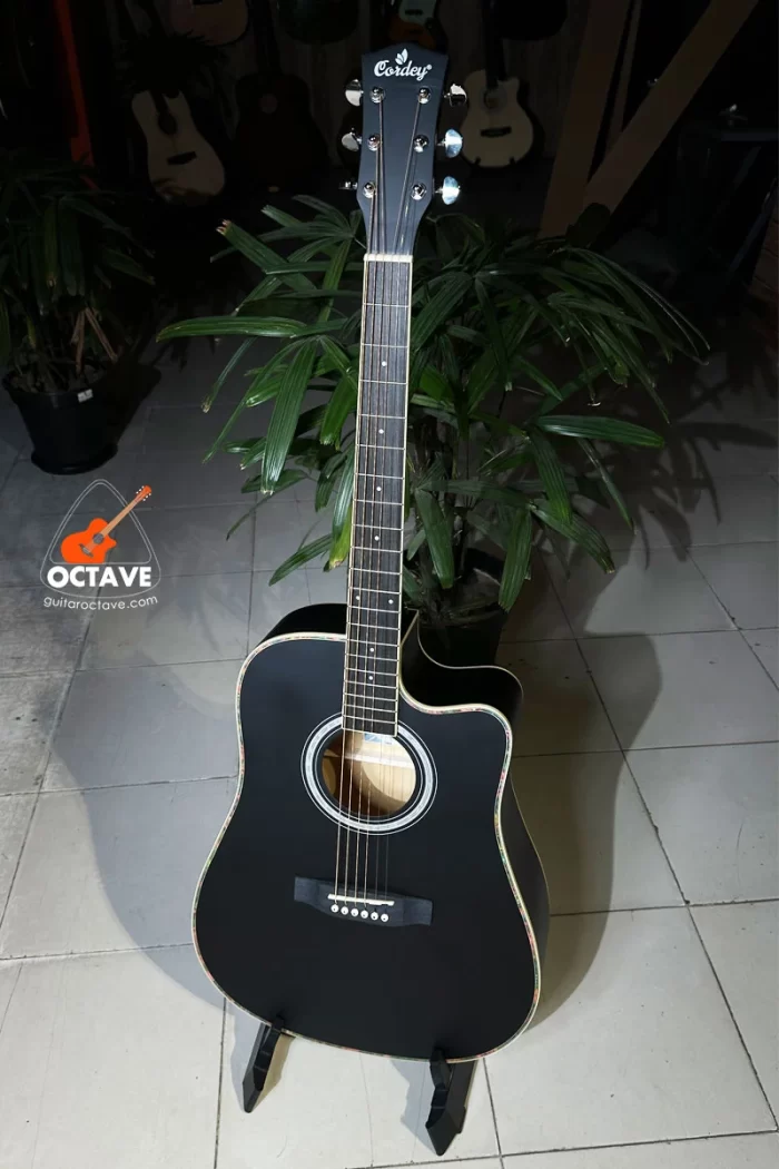 Cordey CR-NP41-bk Newporter Player Dreadnought Series black color beginners acoustic guitar price in bd