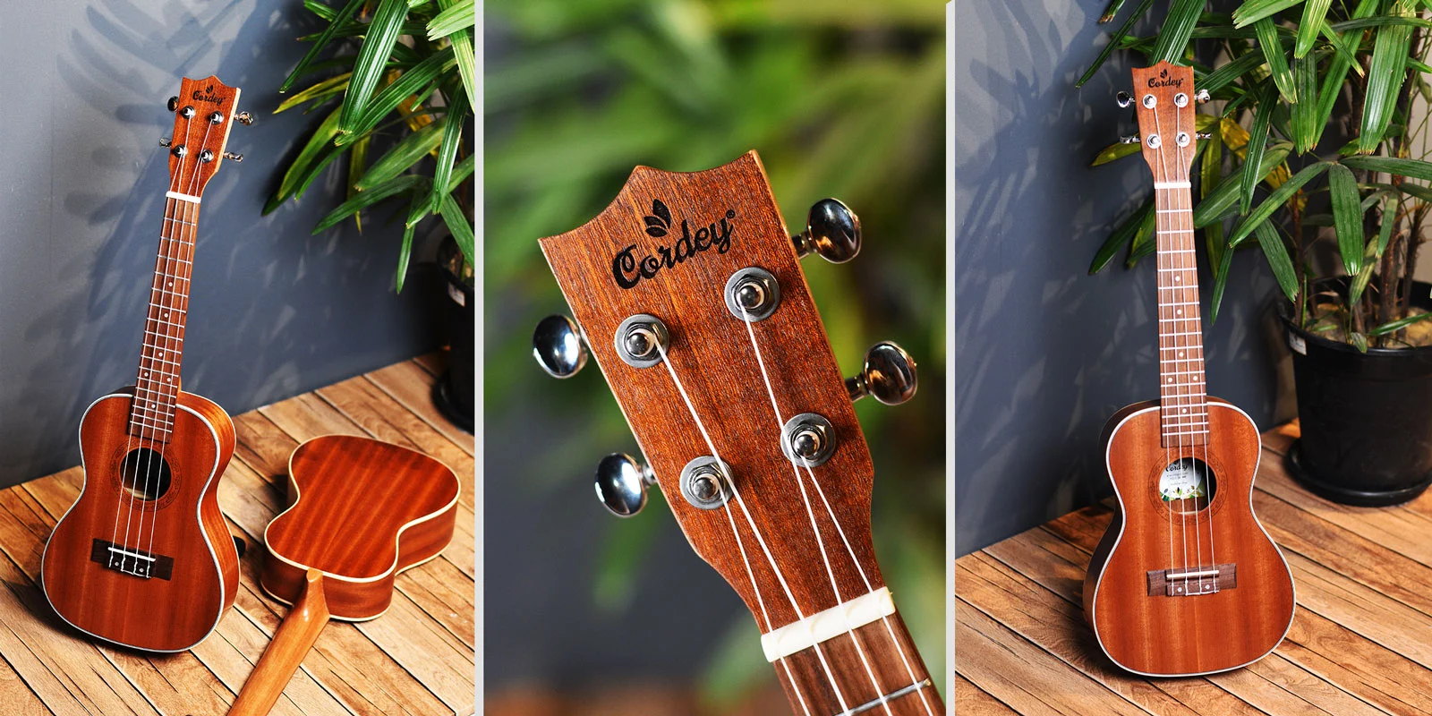 Cordey CR-24MT Meloton Concert Ukulele Price In bd