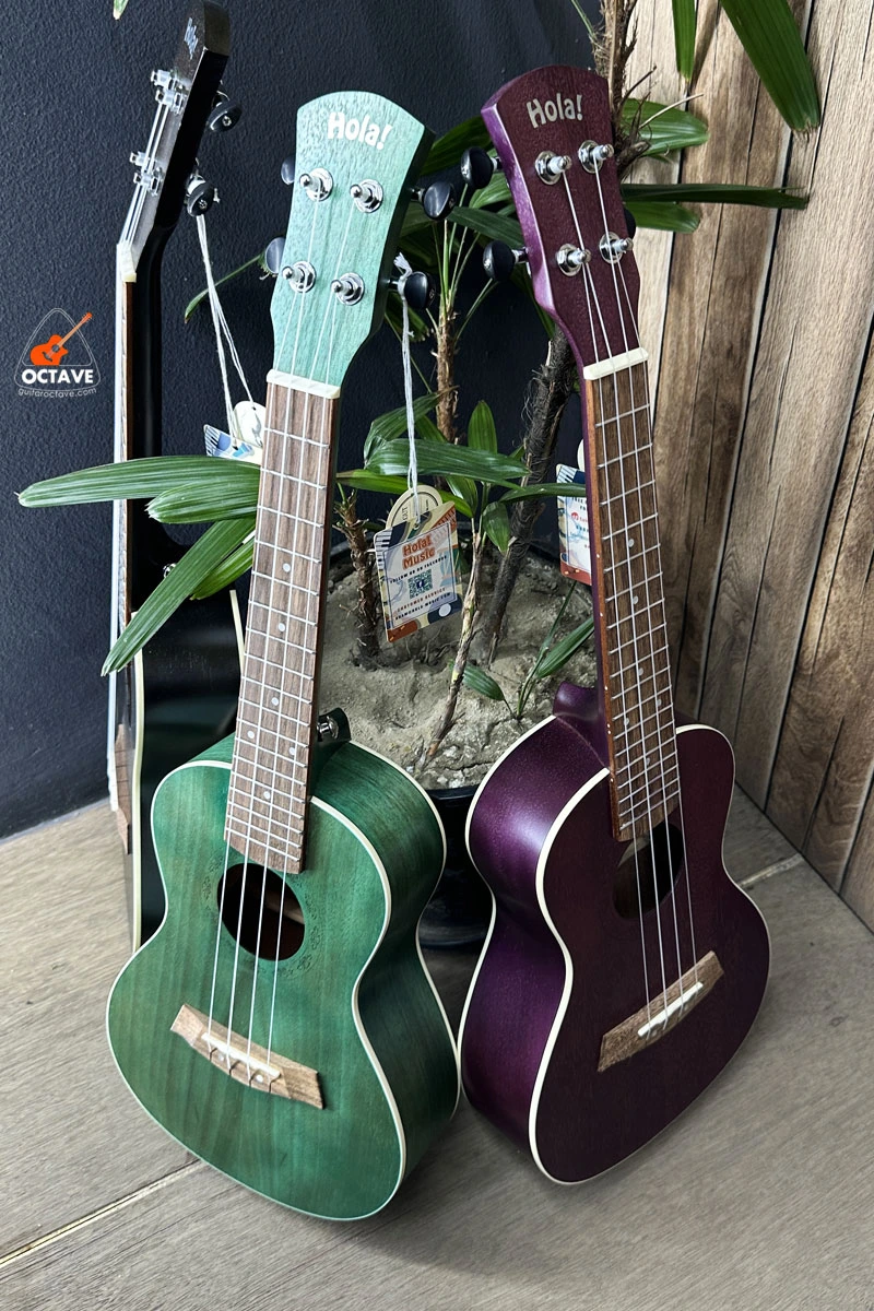 Hola! HM124BU+ Delux Series 24" Premium Concert Ukulele Price in BD | Best Ukulele Shop in BD