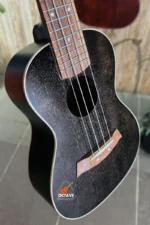 Hola! HM124Bk+ Delux Series 24" Premium Concert Ukulele Price in BD | Best Ukulele Shop in BD